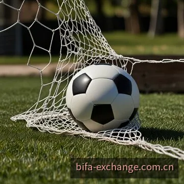必发指数与交易数据量化分析指南图示
